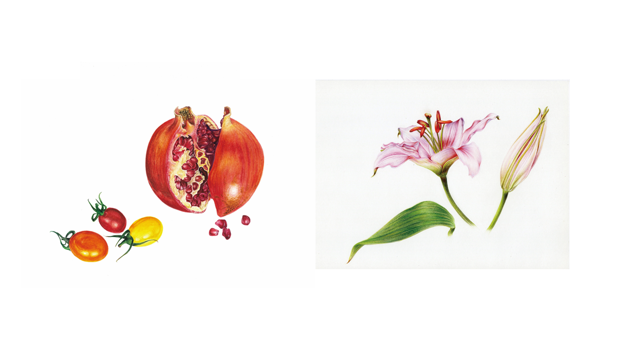 [여름정규 10주] 보테니컬 미술(수) (성인반)