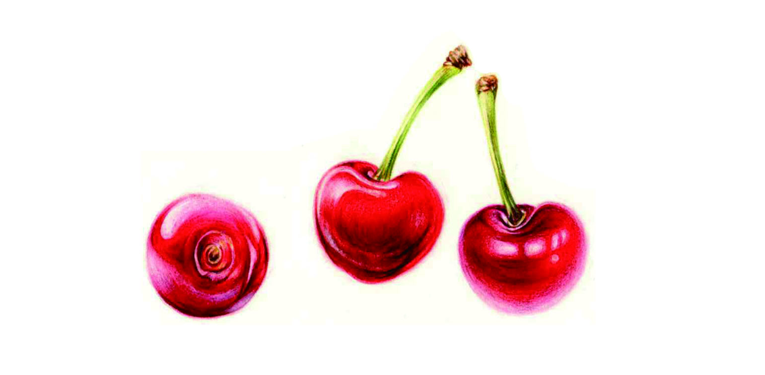 [봄정규 10주] 보태니컬 미술(수) (성인반)